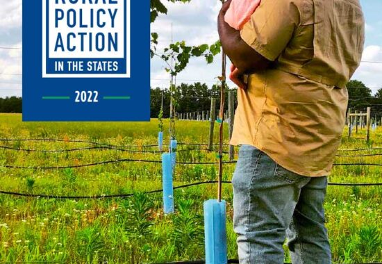 Cover of PDF "Blueprint for Rural Policy Action in the States" - a long report that we formatted, designed and laid out
